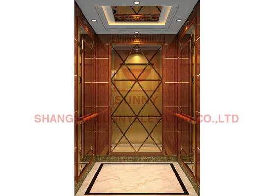 κατοικημένος ανελκυστήρας ανελκυστήρων βιλών πολυτέλειας εγχώριων ανελκυστήρων βάθους κοιλωμάτων 500mm
