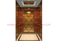 κατοικημένος ανελκυστήρας ανελκυστήρων βιλών πολυτέλειας εγχώριων ανελκυστήρων βάθους κοιλωμάτων 500mm