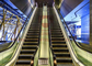 Χαραγμένος καθρέφτης ανελκυστήρας ανελκυστήρων επιβατών λεωφόρων αγορών ανοξείδωτου κατοικημένος