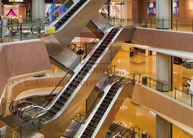 FUJI Vvvf Control Ανώτερης ποιότητας Ομαλή λειτουργία κυλιόμενης σκάλας εμπορικού κέντρου 35 μοιρών