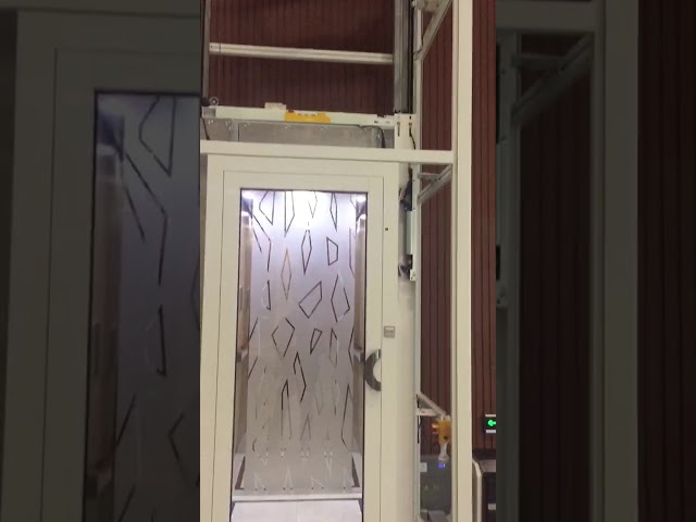 0.4m/S Οικιακό οικιακό ανελκυστήρες Villa ανελκυστήρας μηχανή έλξης και λειτουργία
