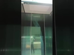 Επιβάτες Προσωπικές βίλες Ελκυστήρες 3ος όροφος Εξωτερικός εσωτερικός ανελκυστήρας